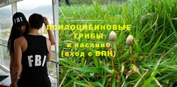 ПСИЛОЦИБИНОВЫЕ ГРИБЫ Балабаново