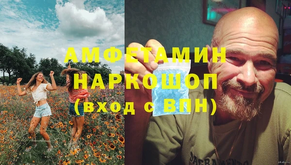 ПСИЛОЦИБИНОВЫЕ ГРИБЫ Балабаново